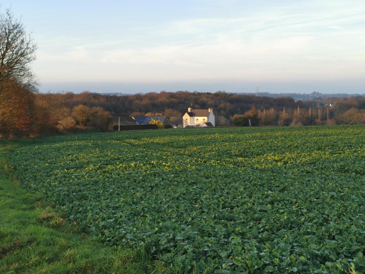 Les Gites De L'Hermine Plouigneau Esterno foto
